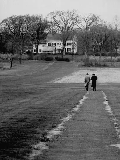 Distant of Mathematicians - Albert Einstein and Kurt Godel Taking a Walk