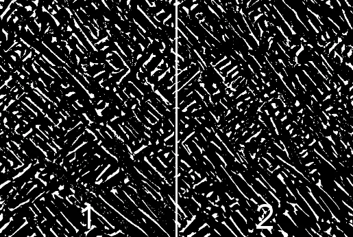 Montage of different particle's area for area distribution plots (example)