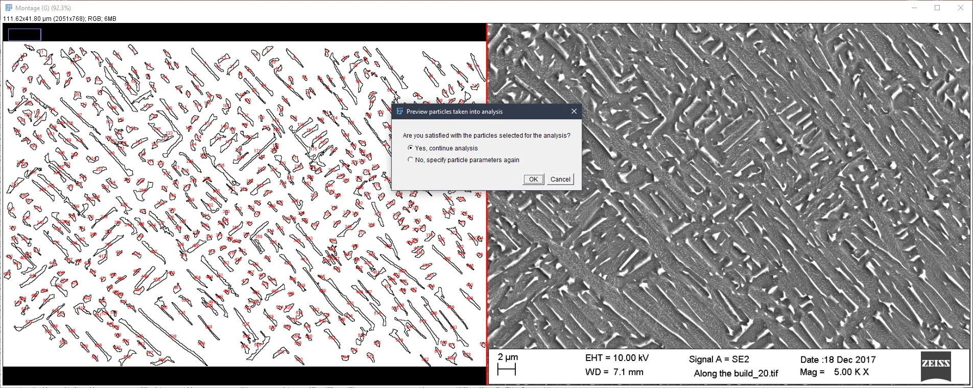 Particle verification