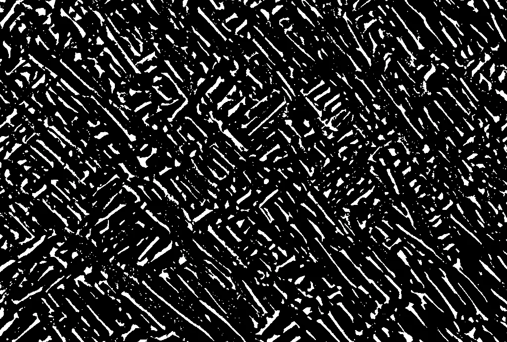 Segmented micrograph with white particles and black background (example)