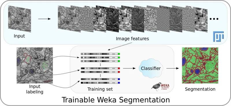 Trainable Weka Segmentation pipeline overview
